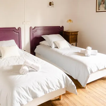 Chateau De Guest house Lemps (Ardeche)
